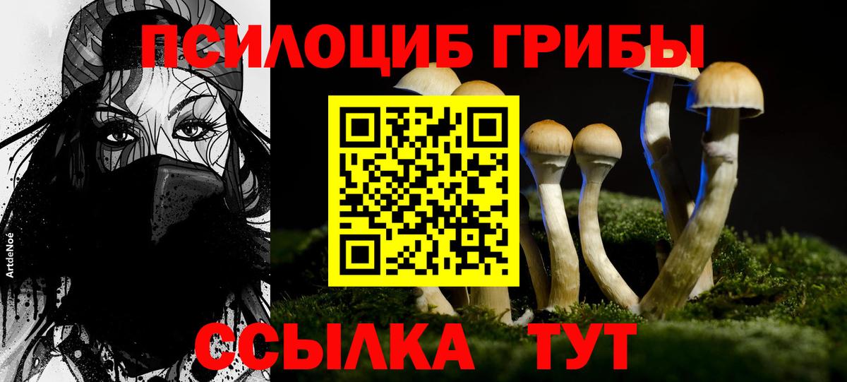 купить наркоту  Вход с VPN  Качканар  Псилоцибиновые грибы мицелий 