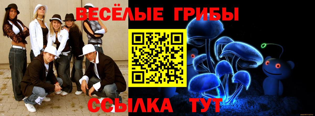 Галлюциногенные грибы Magic Shrooms Качканар