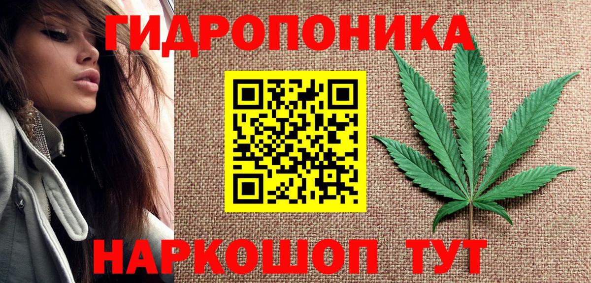 Качканар  Бошки Шишки Bruce Banner  МАРИХУАНА планчик  Вход с VPN 